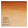 Winsor & Newton Professional Watercolour 5ml Brown Ochre