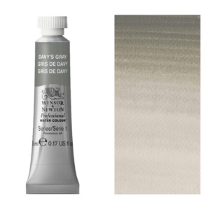 Winsor & Newton Professional Watercolour 5ml Davy's Gray