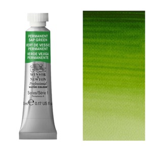 Winsor & Newton Professional Watercolour 5ml Permanent Sap Green