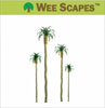 Wee Scapes Palm Tree 1" to 3" - Assorted