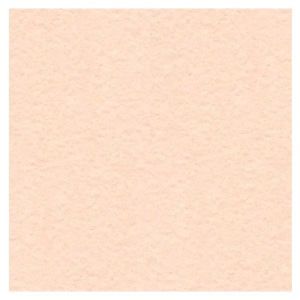 Wyndstone Parchment 60# Text Paper 25"x19" Salmon
