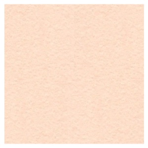 Wyndstone Parchment 60# Text Paper 25"x19" Salmon