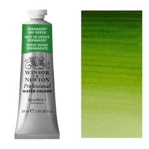 Professional Water Color 37ml - Permanent Sap Green