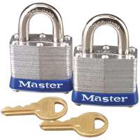 MASTER SHED/GATE TWINPACK MAX