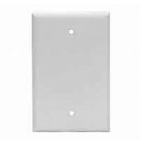 1 GANG BLANK WHITE