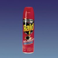 RAID ANT & ROACH KILLER  17.5OZ