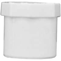 PVC 3/4" SLIP PLUG SPG