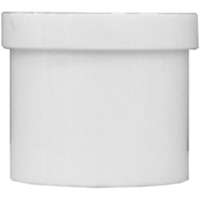 PVC 1" SLIP PLUG SPG