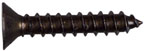 GATE HINGE SCREW BLACK PK18