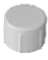 PVC 1" THREADED CAP