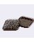 Caster Cup Carpet Bottom Square 2-3/8"