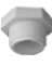 PVC 1" THREADED PLUG