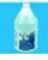 MURIATIC ACID GALLON