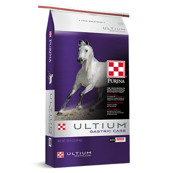 Purina Ultium Gastric Care 50 lb