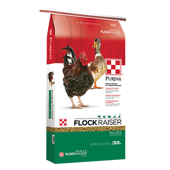 Purina Flock Raiser Pellet 50 lb