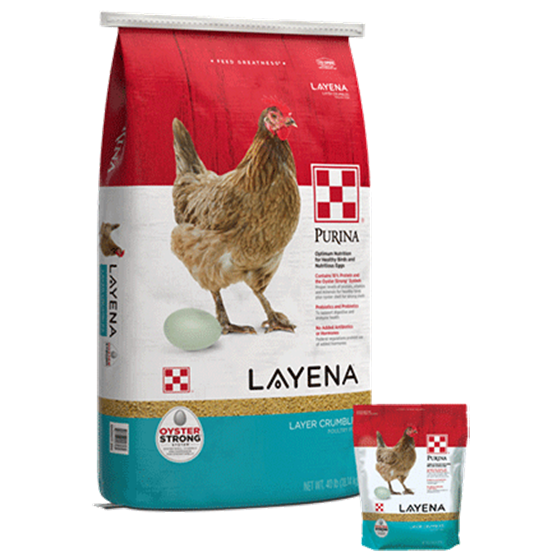 Purina Layena Crumble 40 lb