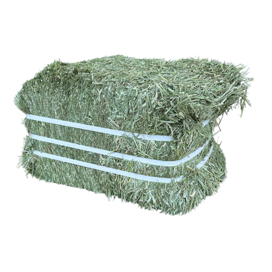 Beaver Brand Timothy Hay Compressed Bale