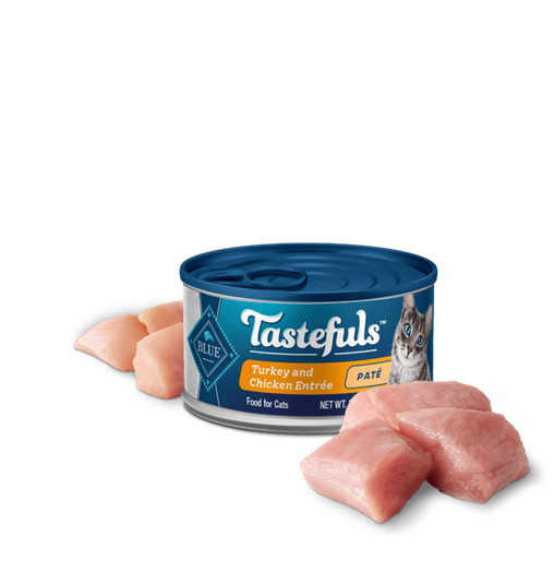 Blue Buffalo Pate Turkey & Chicken 5.5 oz Cat Food