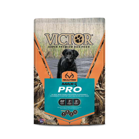 Victor Max 5 Pro Dog 40lbs