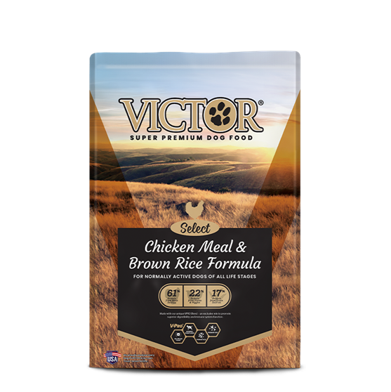 Victor Chicken & Brown Rice 5 lb Dog Food