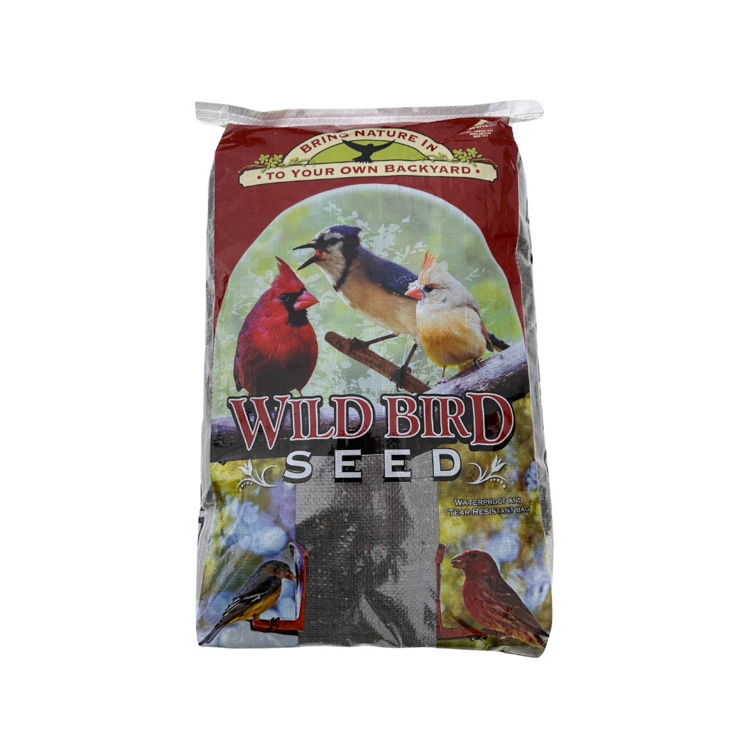 Thistle Feeders | Finch Bird Feeder | Nyjer Seed Feeders - The