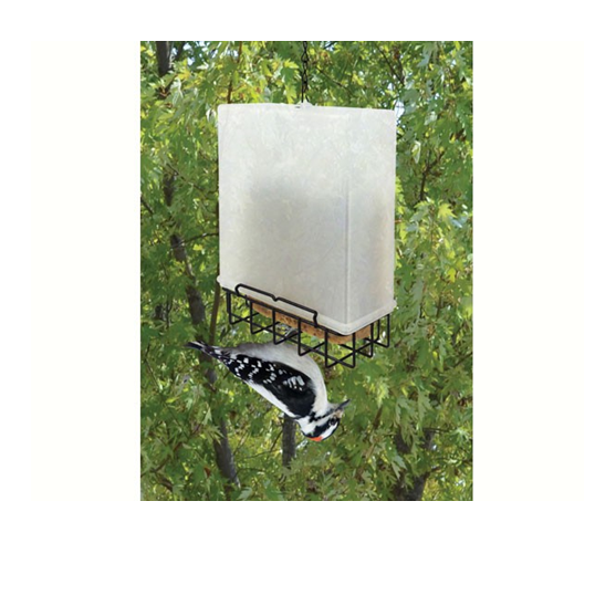 Songbird Essentials Suet Saver Feeder