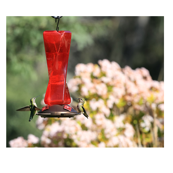 Classic Brands Mirage Hummingbird Feeder