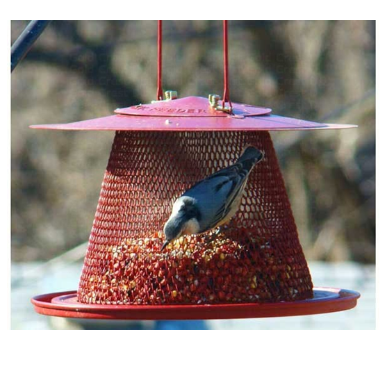 No-No Red Cardinal Bird Feeder