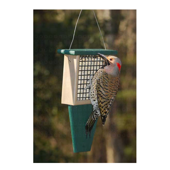 Songbird Essentials Plastic Suet Feeder with Tail Prop