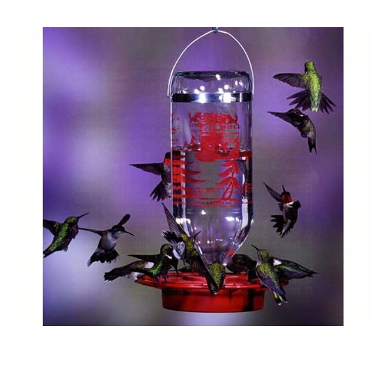 Best-1 Feeders Best 32 oz Hummingbird Feeder