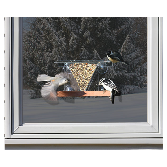 Songbird Essentials Window Feeder 3