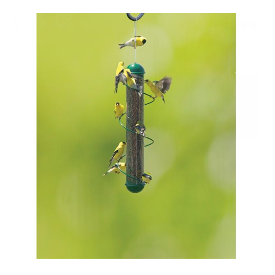 Songbird Essentials Spiral Finch Feeder Green 17"