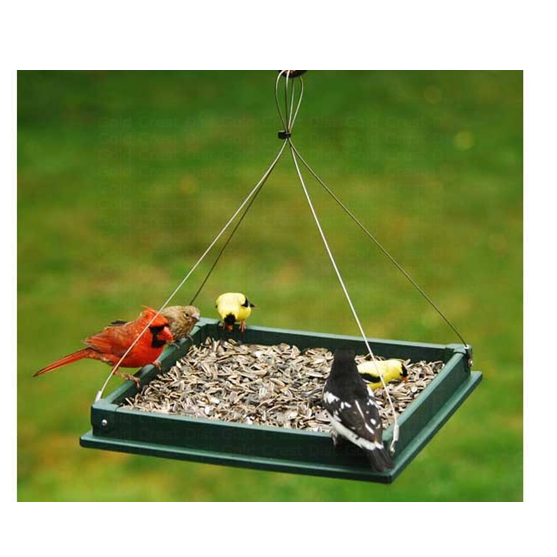 Songbird Essentials Hanging Platform Feeder