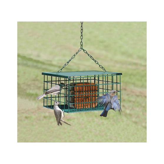 Songbird Essentials Suet Palace