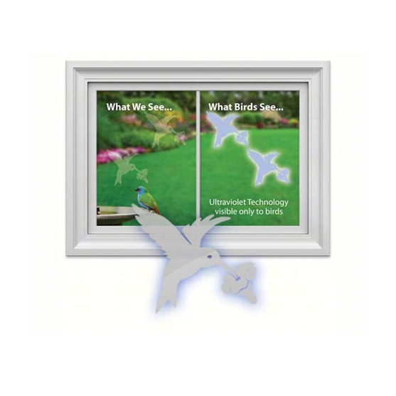 Window Alert Hummingbird Window Decal