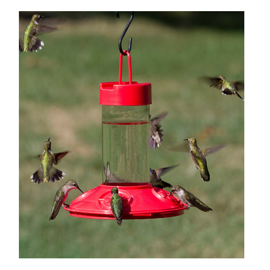 Songbird Essentials Dr JB Clean Hummingbird Feeder