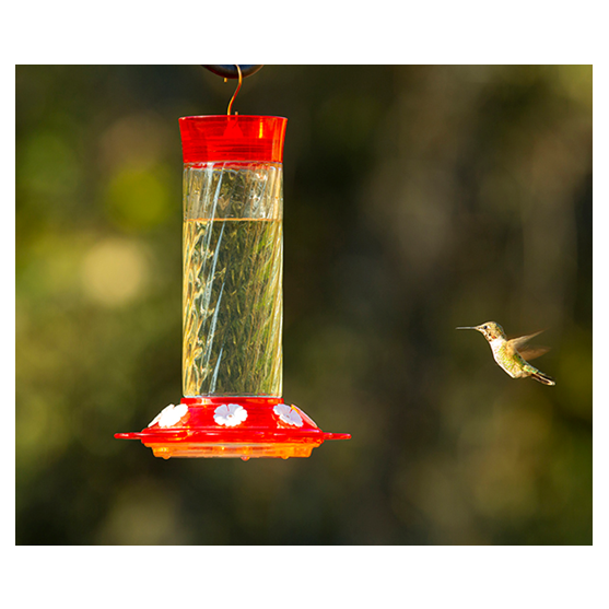 Classic Brands Diamond Hummingbird Feeder