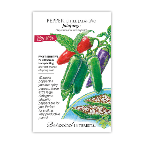 Botanical Interests Jalapeno Jalafuego