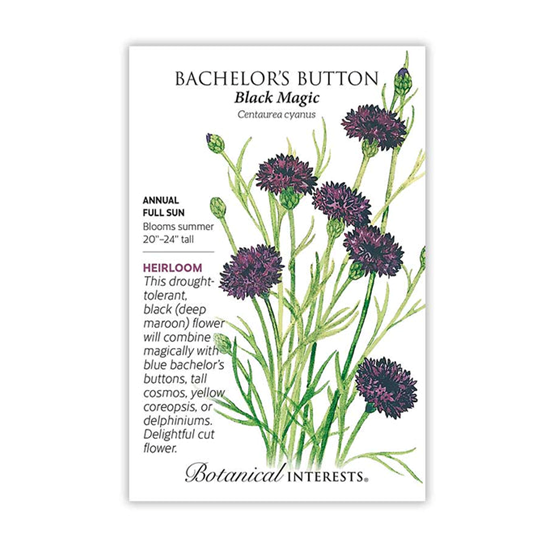 Botanical Interests Bachelor Button Black