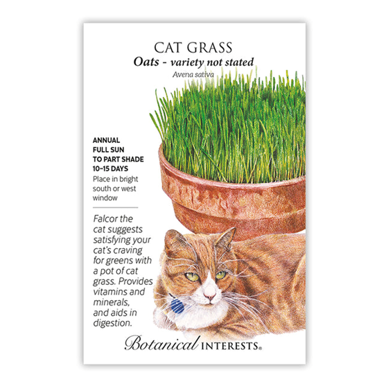 Botanical Interests Cat Grass