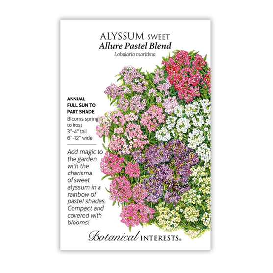 Botanical Interests Alyssum Sweet Allure Pastel