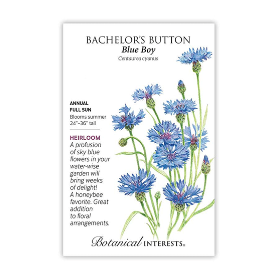 Botanical Interests Bachelor Button Blue Boy