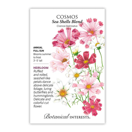 Botanical Interests Cosmos Sea Shells Blend