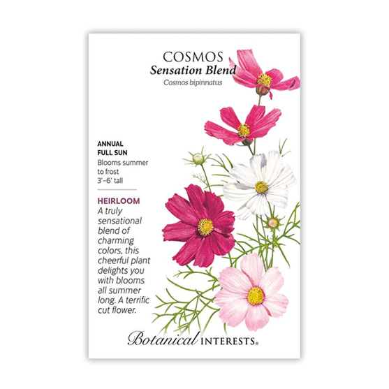 Botanical Interests Cosmos Sensation Blend