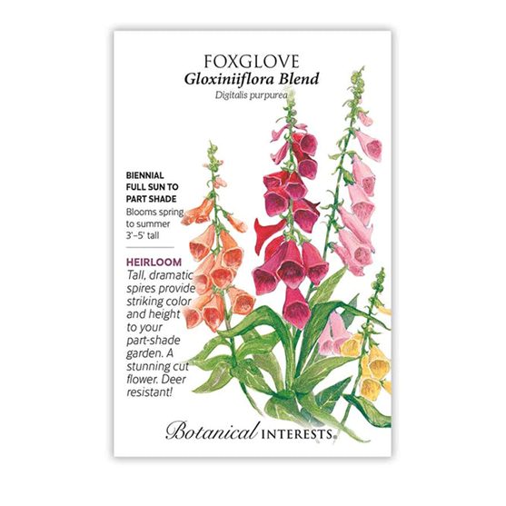 Botanical Interests Foxglove Gloxiniiflora Blend