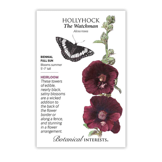 Botanical Interests Hollyhock the Watchman