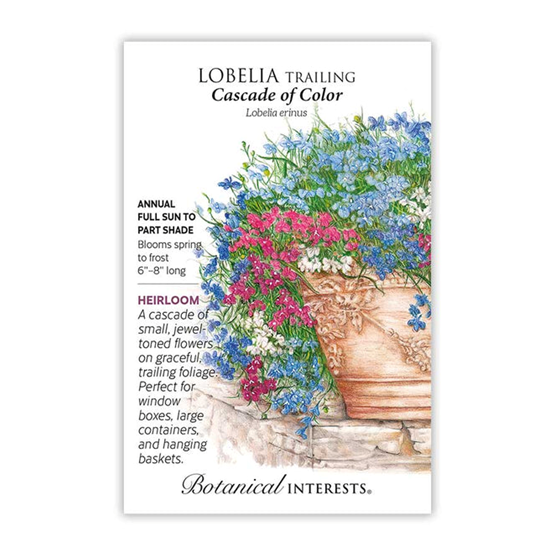 Botanical Interests Lobelia Trailing Cascade