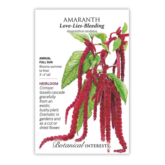 Botanical Interests Love Lies Bleeding