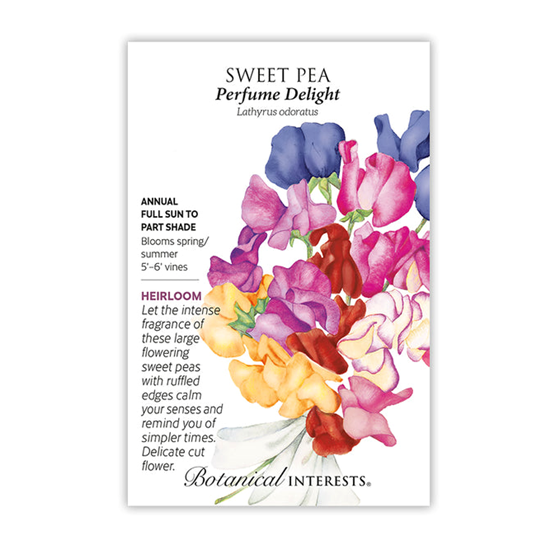 Botanical Interests Sweet Pea Perfume Delight