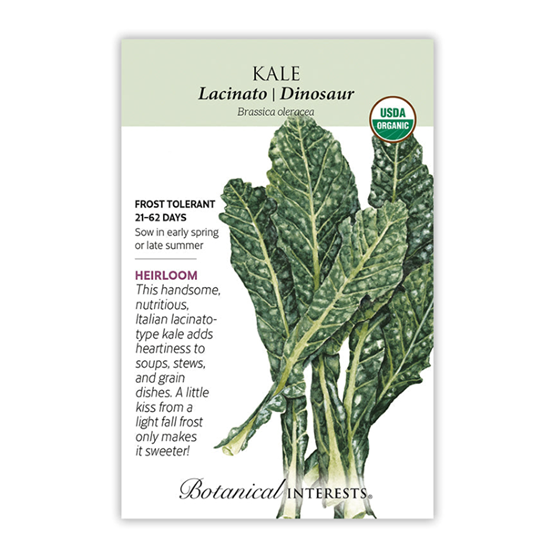 Botanical Interests Kale Lacinato Dinosaur 1gm